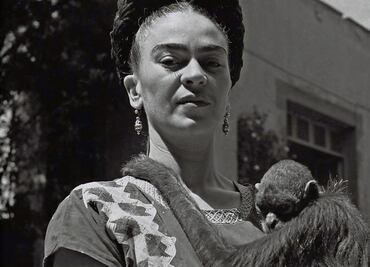 Docus mexicanos invaden la pantalla