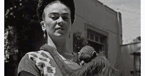 Docus mexicanos invaden la pantalla