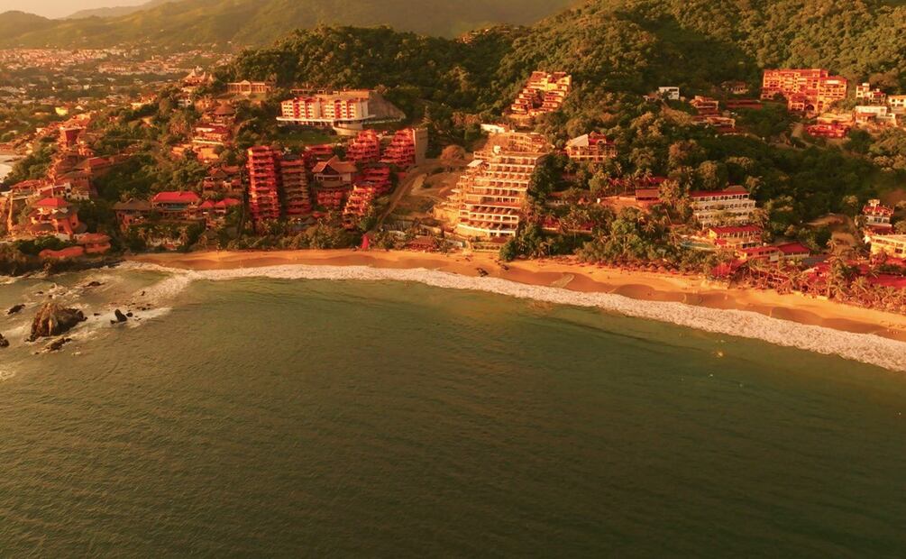 Foto: Twitter @EvelynSalgadoP