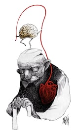 El siempre joven cerebro