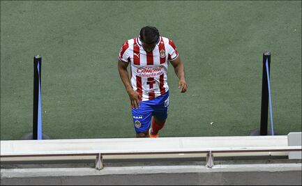 Rebaño  en decadencia