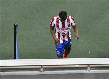 Rebaño en decadencia