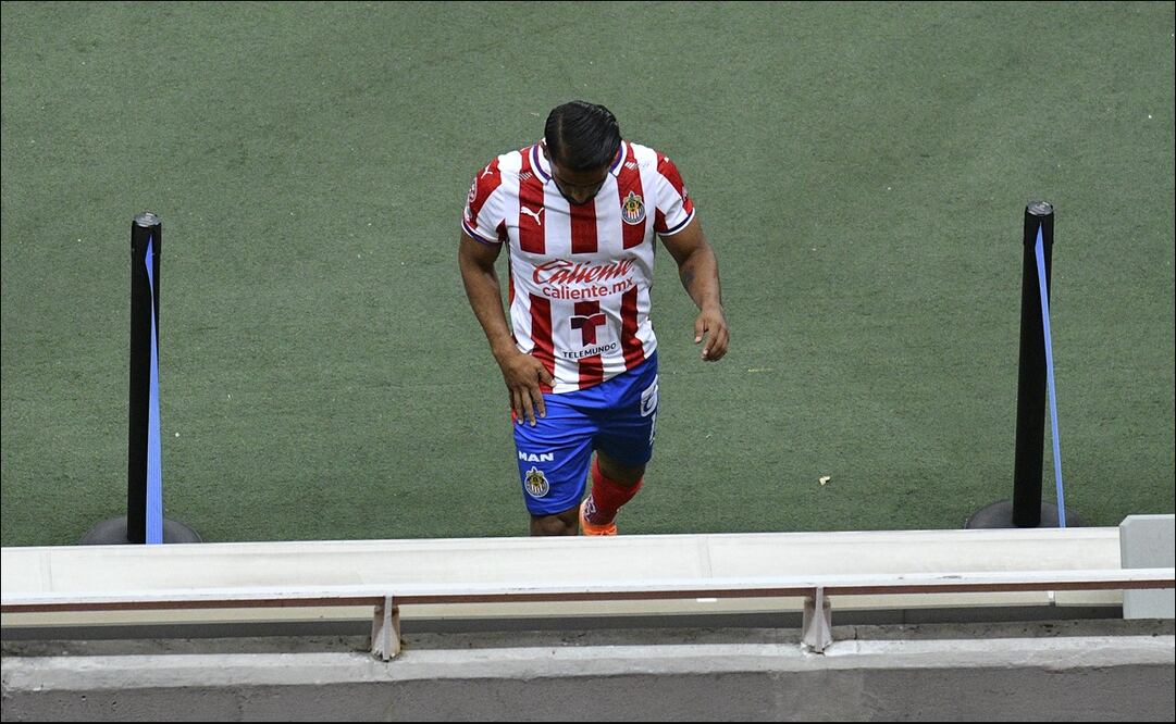 Rebaño  en decadencia