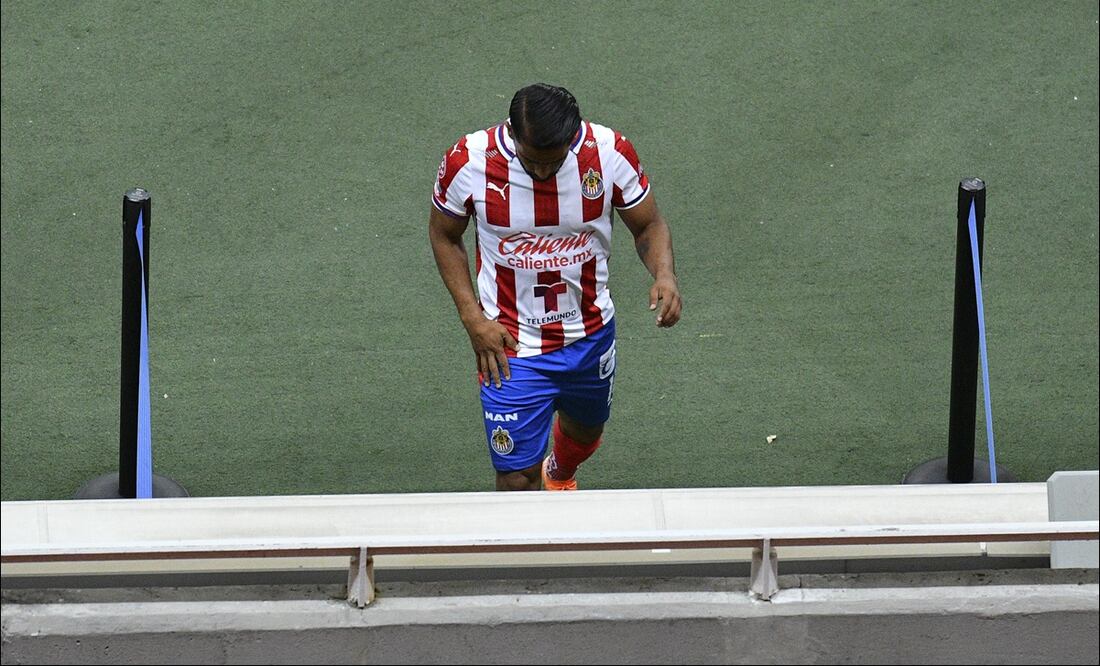 Rebaño en decadencia