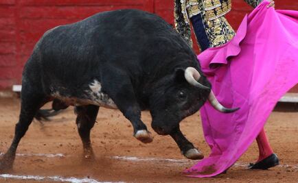 Martínez Kingston, grave tras cornada en "La Monumental"