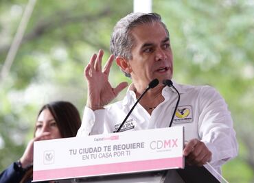 Niega GDF que exista alerta por Araña Violinista