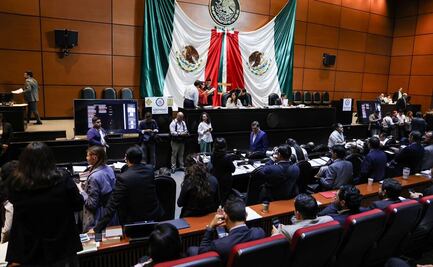 Necesaria la reforma judicial, pero hay riesgos en su planteamiento: CNA
