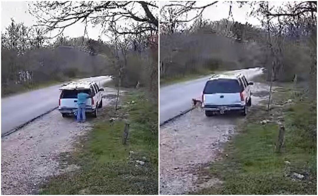 El sujeto habría dejado al animal en la carretera. Foto: Tomada del video 