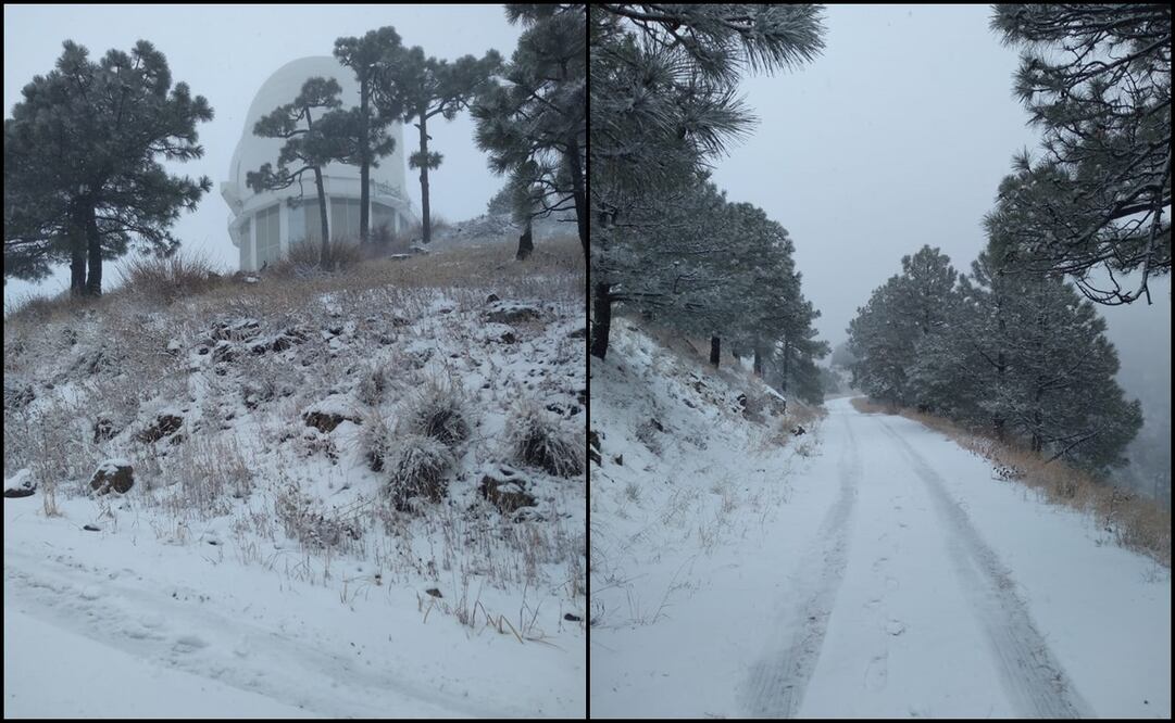 Fotos: cortesía Soycobre.com