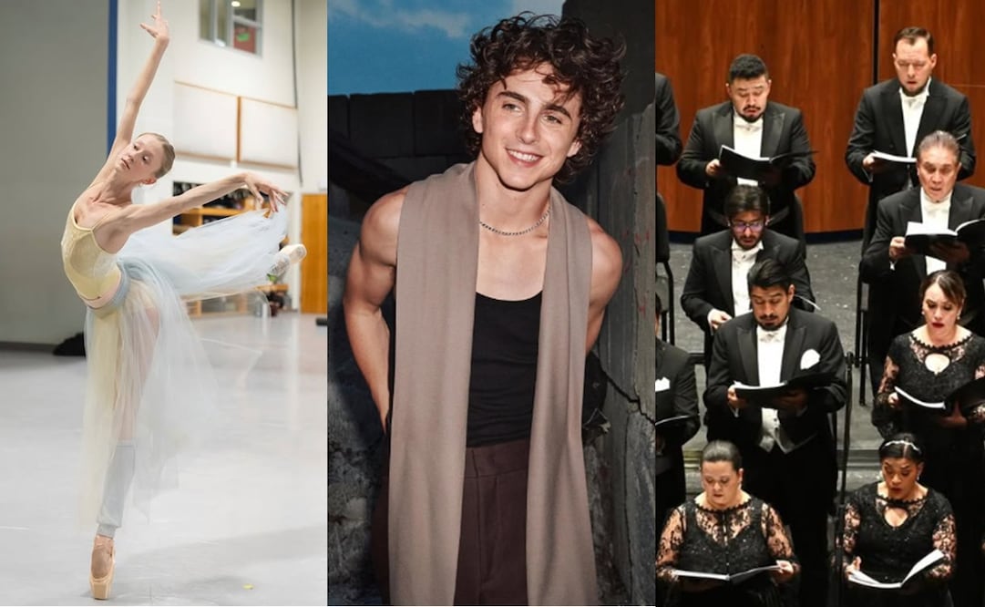 Timothée Chalamet causó revuelo en el mundo del arte con sus declaraciones durante una entrevista reciente. Foto: Miami City Ballet, Ópera de Bellas Artes e Instagram oficial del actor.