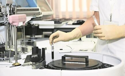 Proponen usar ingeniería genética en especies para combatir cambio climático