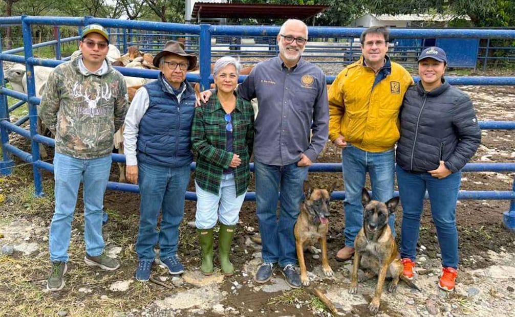 Nala y Tamal, los perros que detectaban Covid-19 y cáncer, ahora van contra el gusano barrenador. Foto: Gaceta UNAM