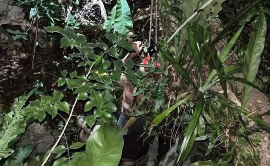 Equipos de emergencia auxiliaron a un estudiante de doctorado de la UNAM que quedó atrapado en un cenote del municipio de Valladolid, Yucatán. Foto: Especial.