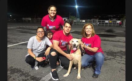 Aslan, el perro que logró salir de Venezuela