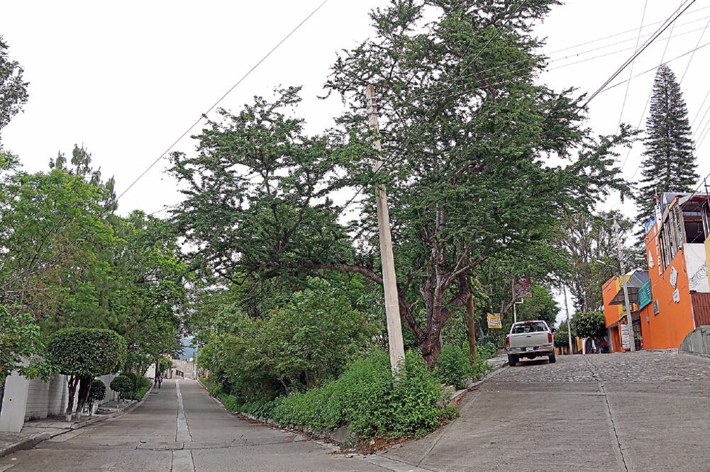 El número 204 de la Segunda Privada de Jacarandas, en San Felipe del Agua, en el norte de la capital, corresponde a un terreno baldío EDWIN HERNÁNDEZ. EL UNIVERSAL)