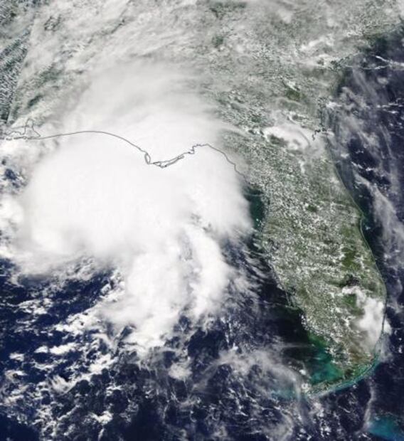 Niño muere al caer árbol sobre su casa tras paso de tormenta "Gordon"