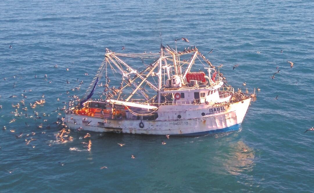 Semar dijo que los buques no activan alertas de emergencia. Foto: Archivo/EL UNIVERSAL.