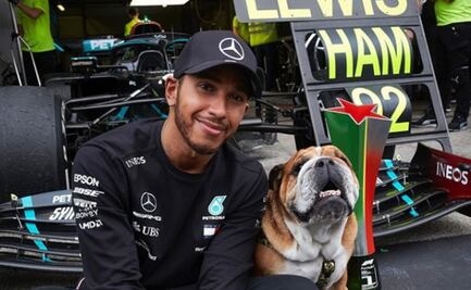 Lewis Hamilton fue denunciado y podría ir a la cárcel por volver vegano a su perro 