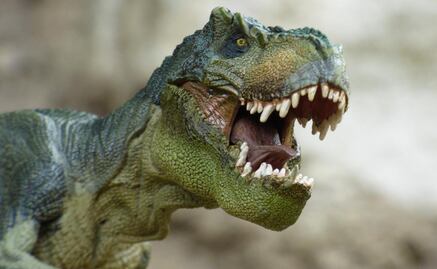 Cómo ver en Google dinosaurios en 3D