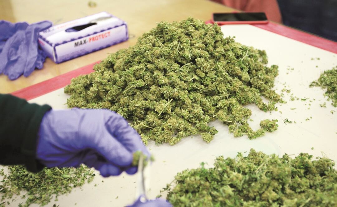 Foto: Archivo / EL UNIVERSAL