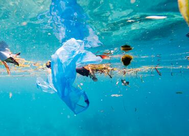 El paraíso turístico en el que hay 7 veces más plástico que peces