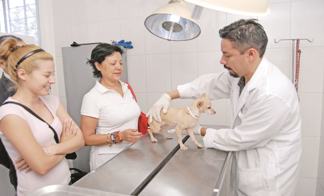 Foto: Archivo/ EL UNIVERSAL