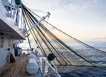 Pesca de atún, una de las más sostenibles de los mares mexicanos