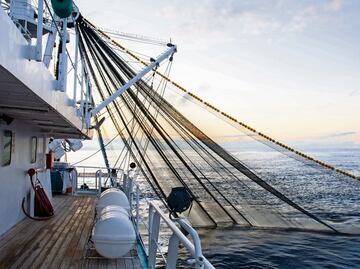 Pesca de atún, una de las más sostenibles de los mares mexicanos