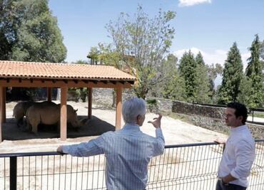 Alfredo del Mazo inaugura el Parque Ecológico Zoológico Zacango
