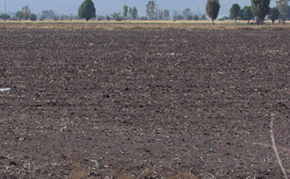 La amenaza del calentamiento global centró buena parte de los discursos pronunciados en el Riksdag. Foto: Archivo EL UNIVERSAL.