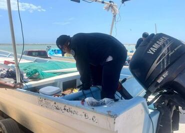 Fortalecen Marina y Conapesca acciones contra pesca ilegal; buscan proteger a la Totoaba y a la Vaquita marina