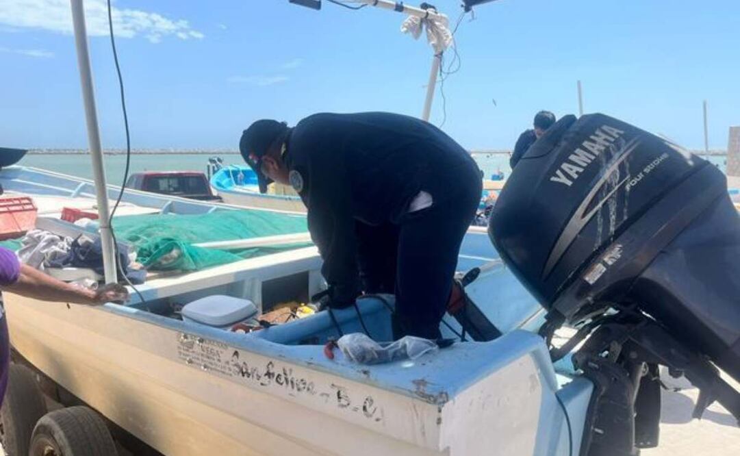 Fortalecen Marina y Conapesca  acciones contra pesca ilegal; buscan proteger a la Totoaba y a la Vaquita marina. Foto; Especial