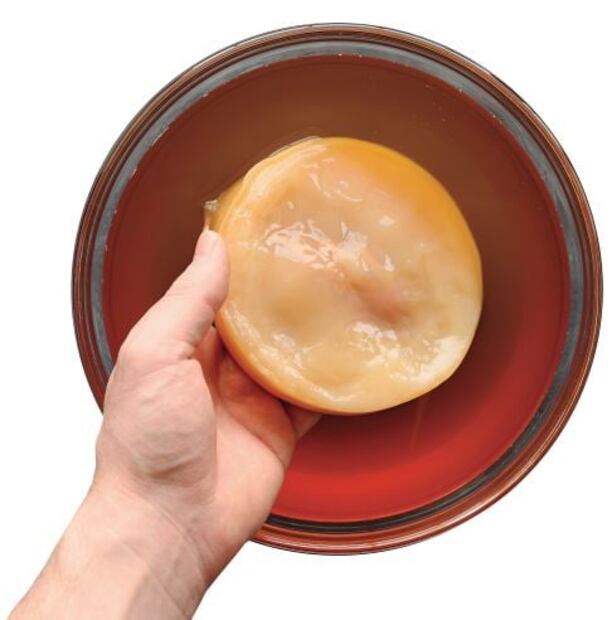 Alimentos fermentados que debes incluir en tu dieta