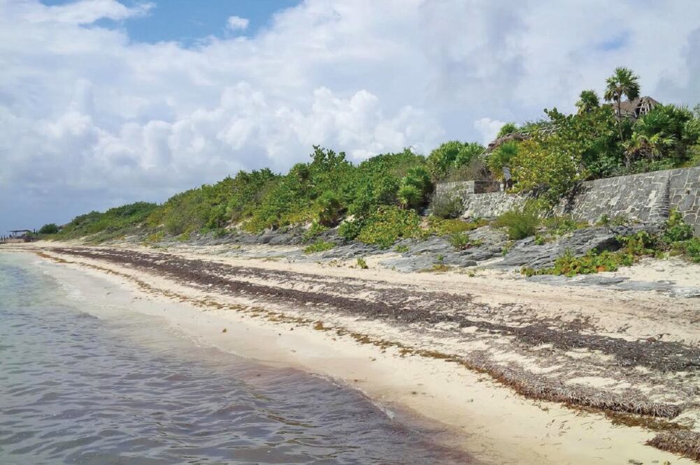 Según Gómez Barraza, la entrada de más cuartos de hotel justifica la explotación de los recursos naturales en el destino turístico (ADRIANA VARILLAS. EL UNIVERSAL)