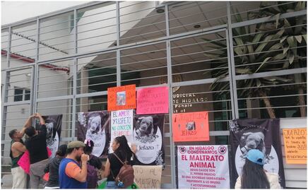 Dictan prisión preventiva justificada para agresor de “Jefazo”, perrito asesinado en Pachuca