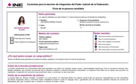 Aspirantes al poder judicial publican su información en plataforma Conóceles; anexan fotos y motivos para ser votados