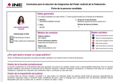 Aspirantes al poder judicial publican su información en plataforma Conóceles; anexan fotos y motivos para ser votados
