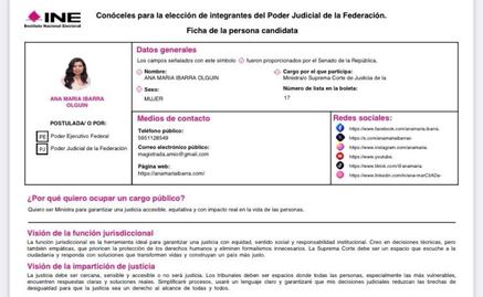 Aspirantes al poder judicial publican su información en plataforma Conóceles; anexan fotos y motivos para ser votados