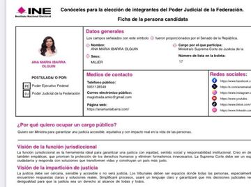 Aspirantes al poder judicial publican su información en plataforma Conóceles; anexan fotos y motivos para ser votados