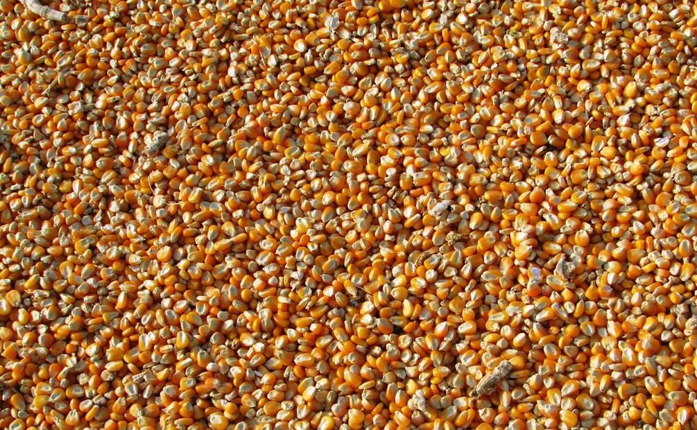 Palomitas de maíz. Foto: Pixabay / Pexels