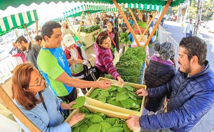 Bosque de Tlalpan, tendencia en Twitter por Mercado de Trueque 