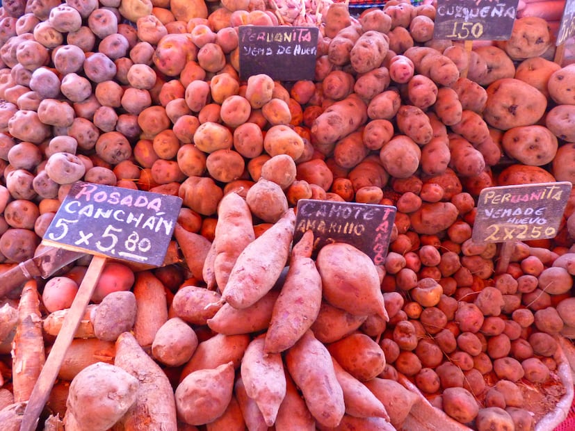 'Chefs Feast' pondrá en valor ingredientes, productos y técnicas culinarias tradicionales provenientes de distintas regiones de Perú. Foto: Pixabay LoggaWiggler