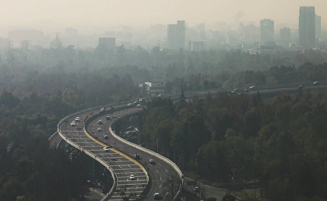 Fotografía: EL UNIVERSAL