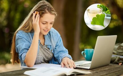 Conoce los beneficios del ginkgo biloba para la salud