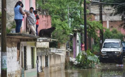 Tormenta deja daños en 52 colonias de Xalapa