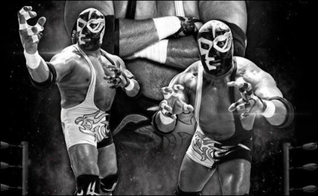 Twitter: @luchalibreaaa