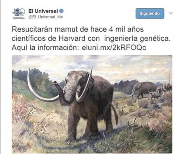 Sí merezco leer al gurú de la Sra. Duarte