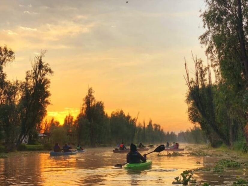 7 tours en Xochimilco fuera de lo común y que no querrás perderte