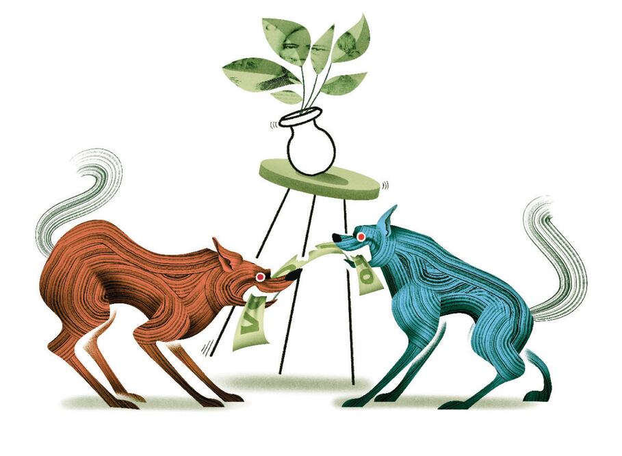 Ilustración: Ani Cortés