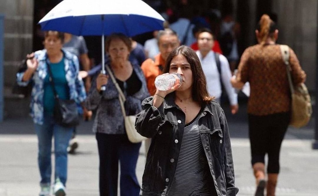 Las olas de calor pueden intensificarse o durar más días por la interacción con la superficie de la atmósfera si existen sequías. Foto: EL UNIVERSAL